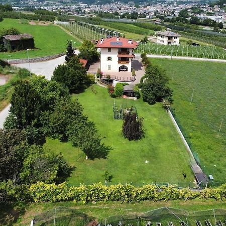 Il Gallo Pergine Valsugana Bagian luar foto