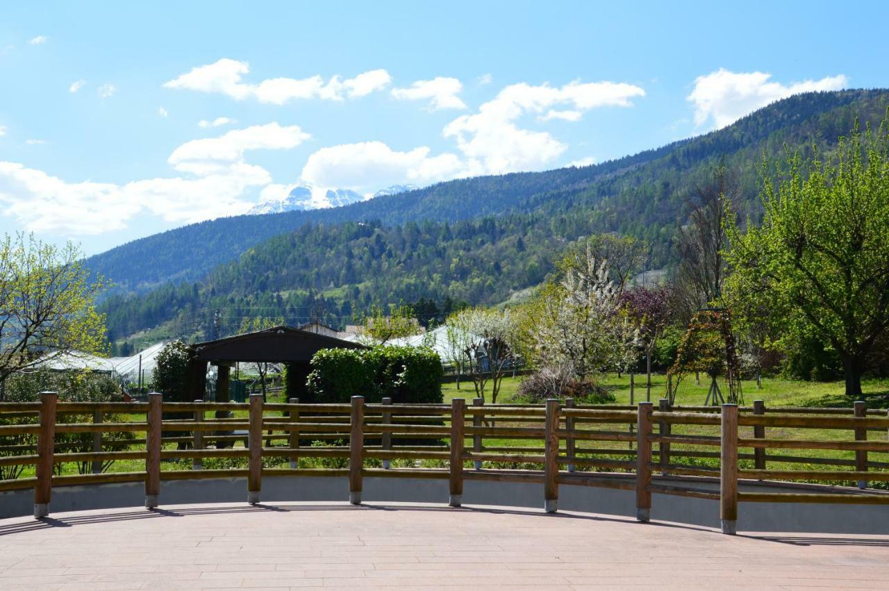 Il Gallo Pergine Valsugana Bagian luar foto