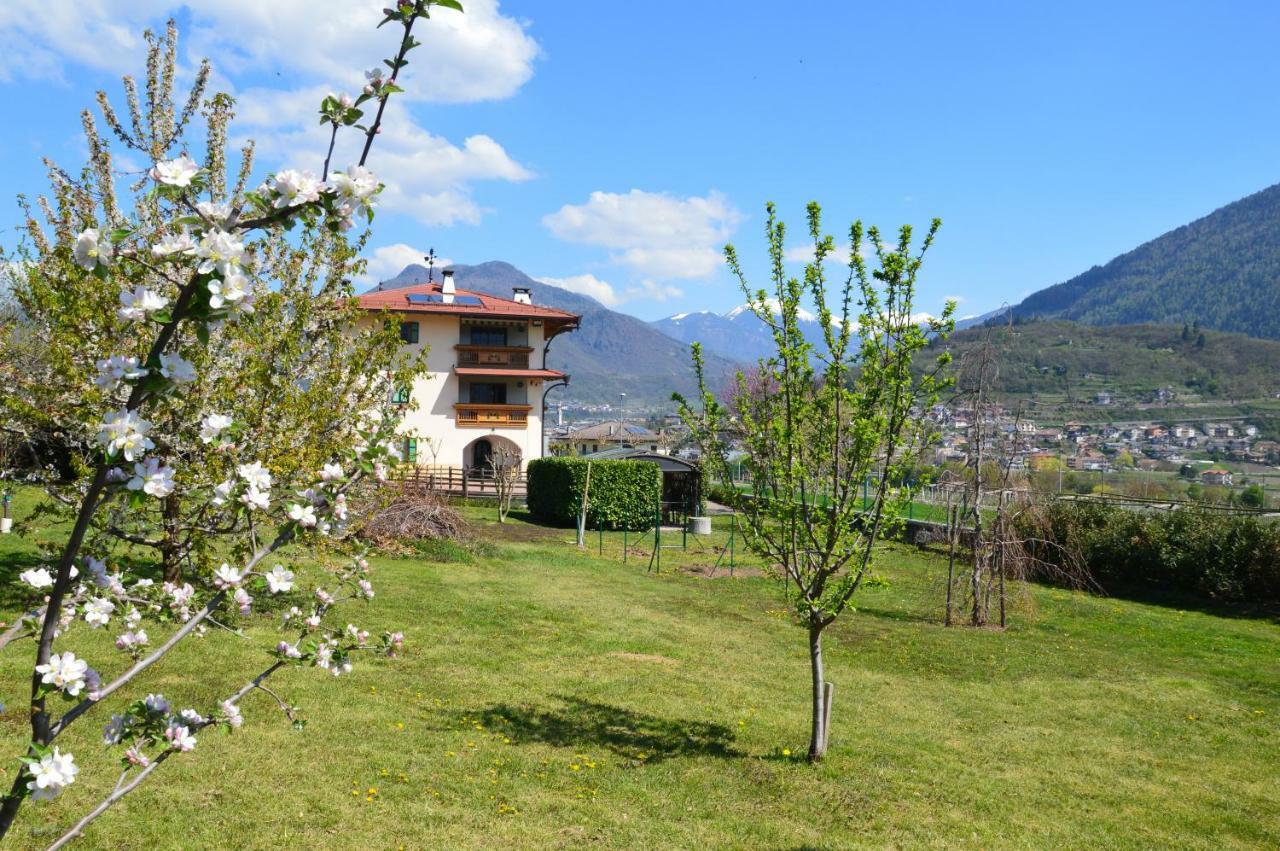 Il Gallo Pergine Valsugana Bagian luar foto